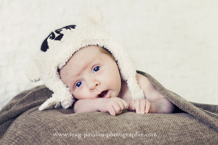 IMG_6025 as Smart Object-1